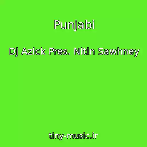 کاور آهنگ Punjabi از Dj Azick Pres. Nitin Sawhney