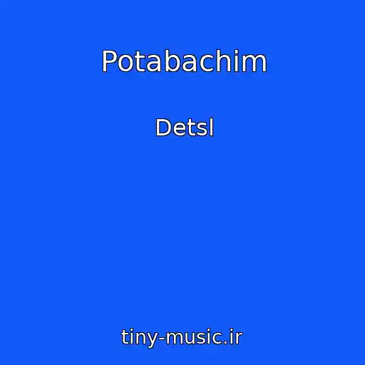 کاور آهنگ Potabachim از Detsl