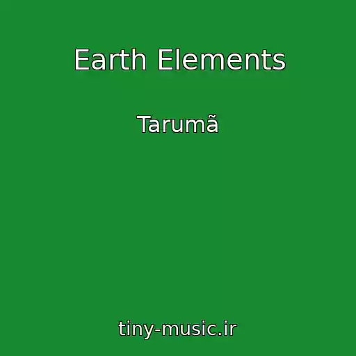 کاور آهنگ Earth Elements از Tarumã