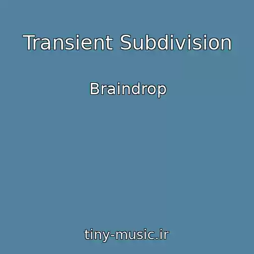 کاور آهنگ Transient Subdivision از Braindrop