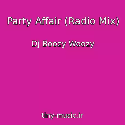 کاور آهنگ Party Affair (Radio Mix) از Dj Boozy Woozy