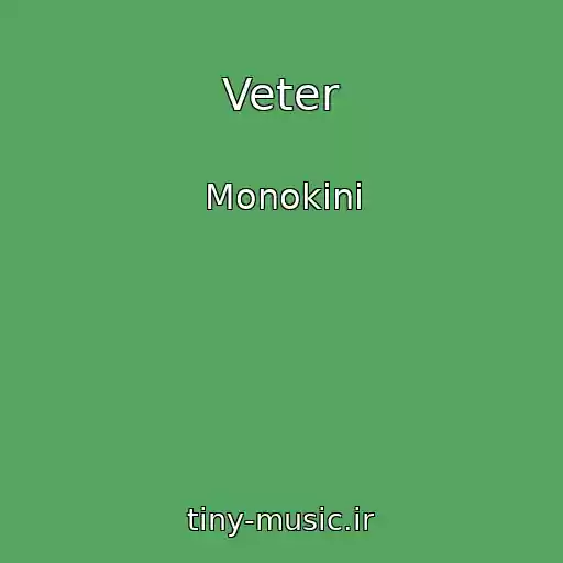 کاور آهنگ Veter از Monokini