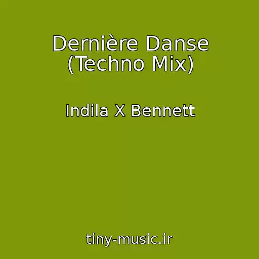 کاور آهنگ Dernière Danse (Techno Mix) از Indila X Bennett