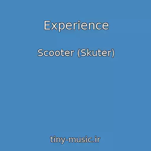 کاور آهنگ Experience از Scooter (Skuter)