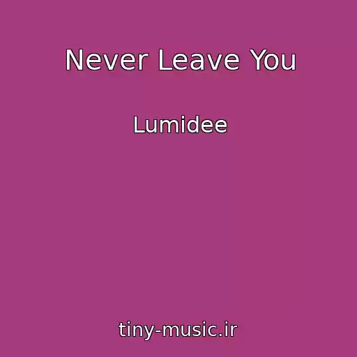 کاور آهنگ Never Leave You از Lumidee