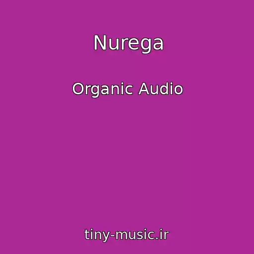 کاور آهنگ Nurega از Organic Audio