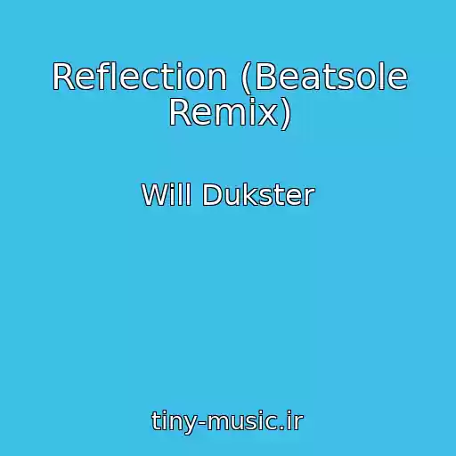 کاور آهنگ Reflection (Beatsole Remix) از Will Dukster