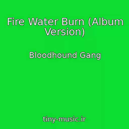کاور آهنگ Fire Water Burn (Album Version) از Bloodhound Gang