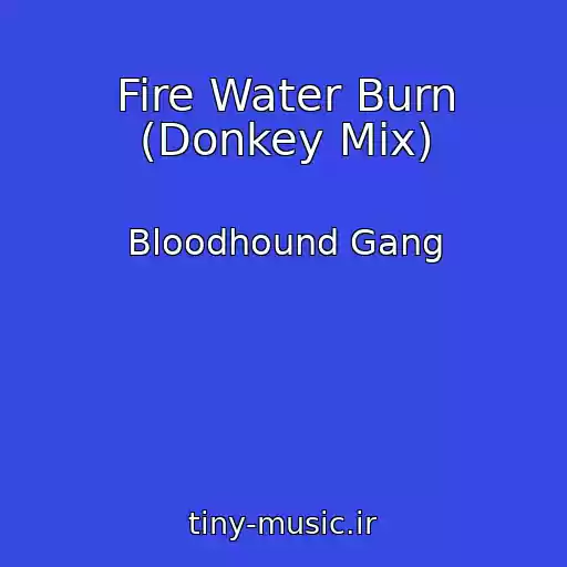 کاور آهنگ Fire Water Burn (Donkey Mix) از Bloodhound Gang