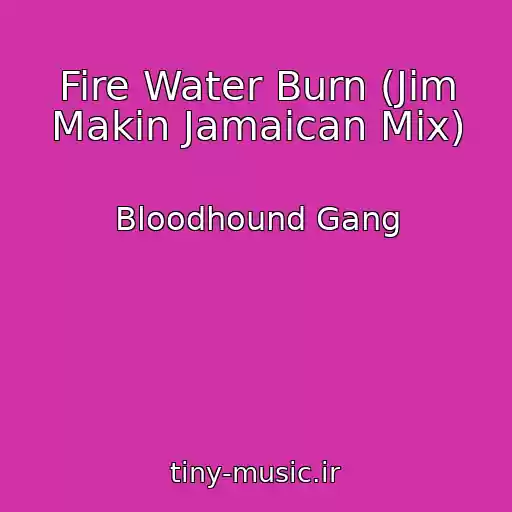 کاور آهنگ Fire Water Burn (Jim Makin Jamaican Mix) از Bloodhound Gang