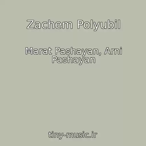 کاور آهنگ Zachem Polyubil از Marat Pashayan, Arni Pashayan
