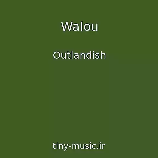 کاور آهنگ Walou از Outlandish