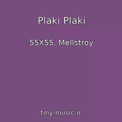کاور آهنگ Plaki Plaki از 55X55, Mellstroy