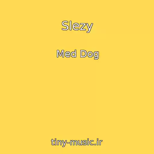 کاور آهنگ Slezy از Med Dog