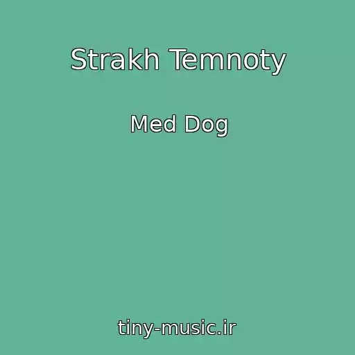 کاور آهنگ Strakh Temnoty از Med Dog