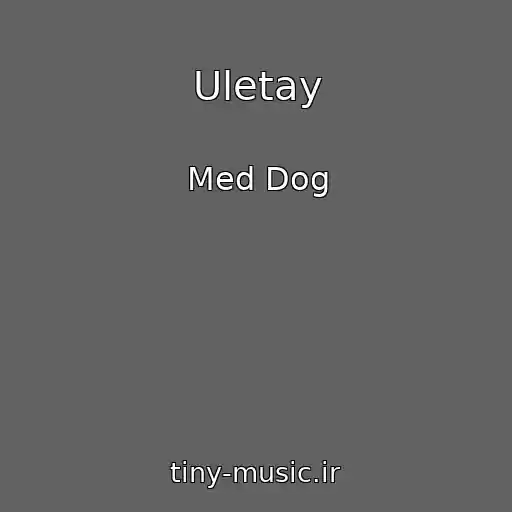 کاور آهنگ Uletay از Med Dog