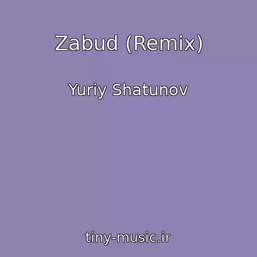 کاور آهنگ Zabud (Remix) از Yuriy Shatunov