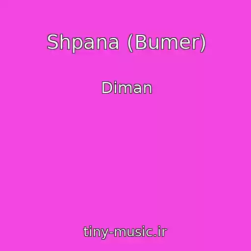 کاور آهنگ Shpana (Bumer) از Diman
