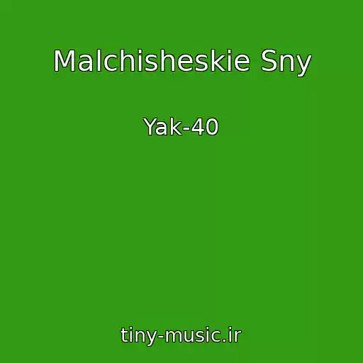 کاور آهنگ Malchisheskie Sny از Yak-40