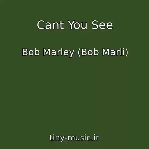 کاور آهنگ Cant You See از Bob Marley (Bob Marli)