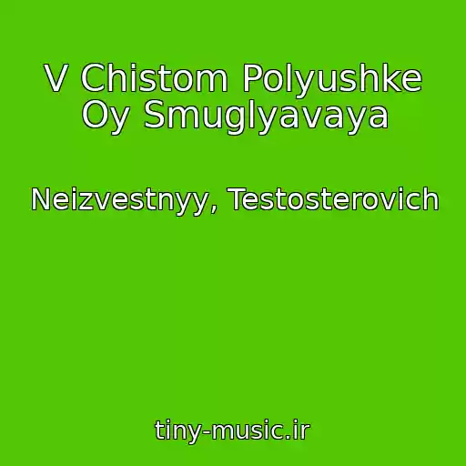 کاور آهنگ V Chistom Polyushke Oy Smuglyavaya از Neizvestnyy, Testosterovich