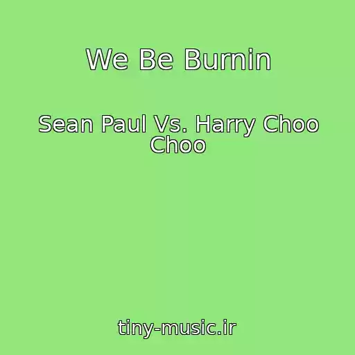 کاور آهنگ We Be Burnin از Sean Paul Vs. Harry Choo Choo