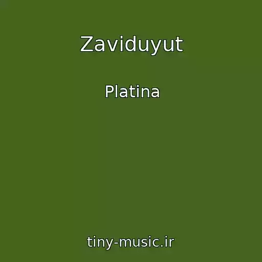 کاور آهنگ Zaviduyut از Platina