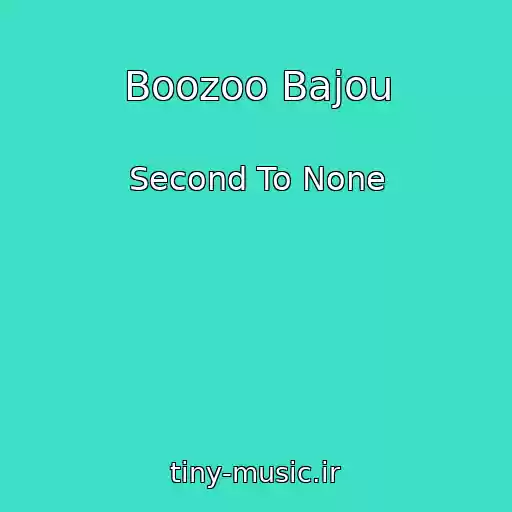 کاور آهنگ Boozoo Bajou از Second To None