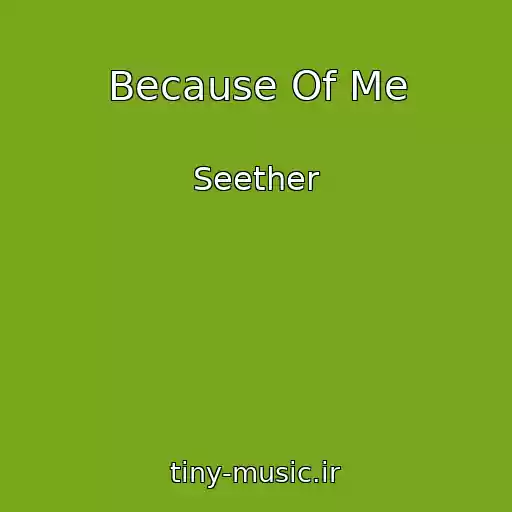 کاور آهنگ Because Of Me از Seether