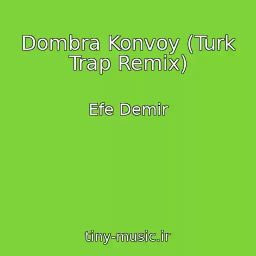 کاور آهنگ Dombra Konvoy (Turk Trap Remix) از Efe Demir
