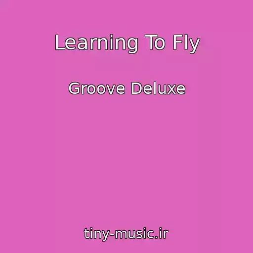 کاور آهنگ Learning To Fly از Groove Deluxe