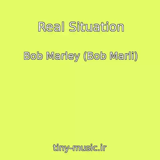 کاور آهنگ Real Situation از Bob Marley (Bob Marli)