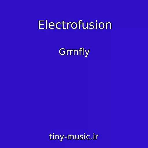 کاور آهنگ Electrofusion از Grrnfly