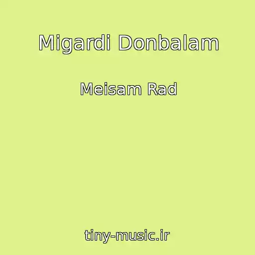 کاور آهنگ Migardi Donbalam از Meisam Rad