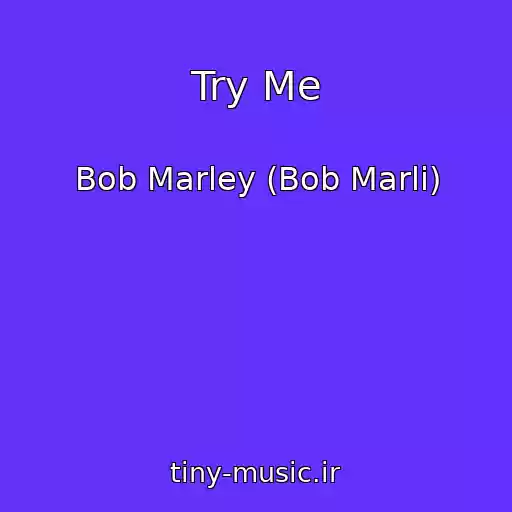 کاور آهنگ Try Me از Bob Marley (Bob Marli)