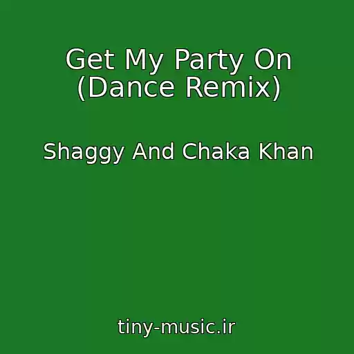 کاور آهنگ Get My Party On (Dance Remix) از Shaggy And Chaka Khan
