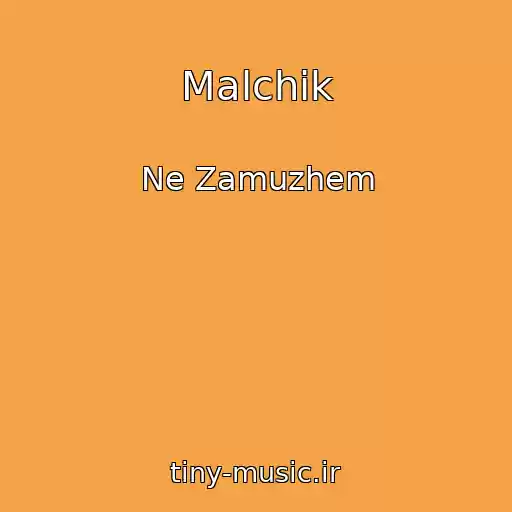 کاور آهنگ Malchik از Ne Zamuzhem