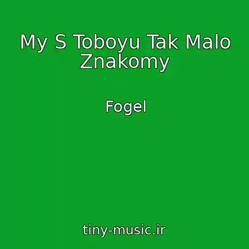 کاور آهنگ My S Toboyu Tak Malo Znakomy از Fogel