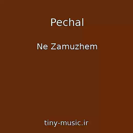 کاور آهنگ Pechal از Ne Zamuzhem