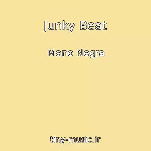 کاور آهنگ Junky Beat از Mano Negra