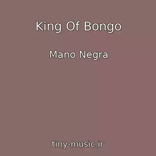کاور آهنگ King Of Bongo از Mano Negra
