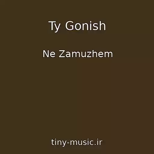 کاور آهنگ Ty Gonish از Ne Zamuzhem