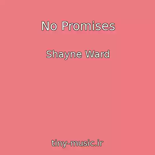 کاور آهنگ No Promises از Shayne Ward