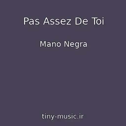 کاور آهنگ Pas Assez De Toi از Mano Negra