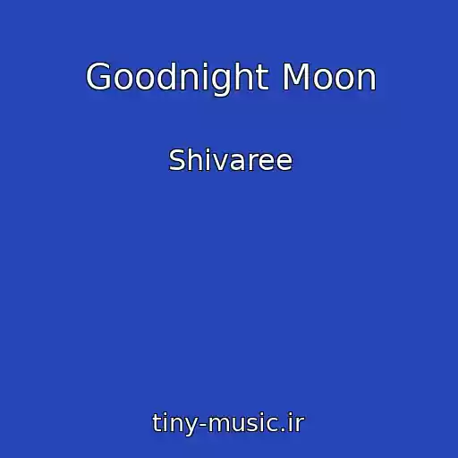 کاور آهنگ Goodnight Moon از Shivaree