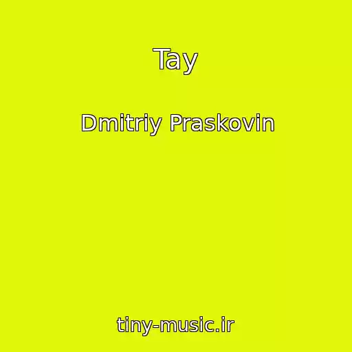 کاور آهنگ Tay از Dmitriy Praskovin