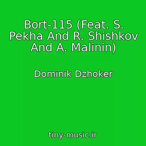 کاور آهنگ Bort-115 (Feat. S. Pekha And R. Shishkov And A. Malinin) از Dominik Dzhoker