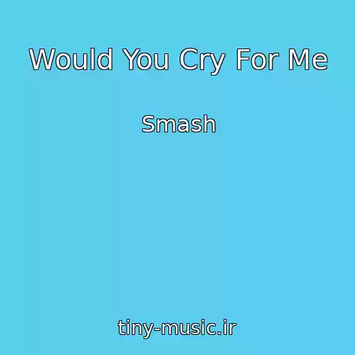 کاور آهنگ Would You Cry For Me از Smash
