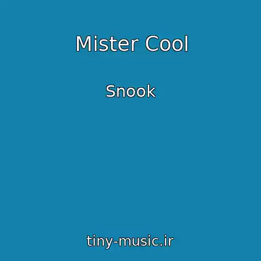 کاور آهنگ Mister Cool از Snook