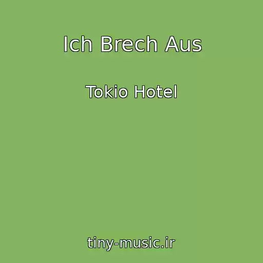 کاور آهنگ Ich Brech Aus از Tokio Hotel
